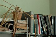 070724_049_a.jpg