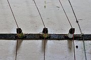 slides/110904_097_a.html
