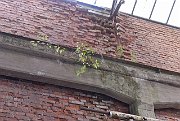 slides/060909_208_a.html