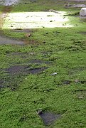 slides/060909_256_a.html