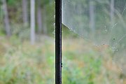 slides/110904_030_a.html