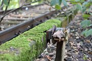 slides/160924_068_a.html