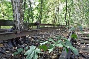 slides/160924_070_a.html