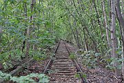 160924_071_a.JPG