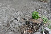 slides/160924_085_a.html