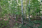 slides/160924_113_a.html