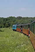 slides/050731_087.html