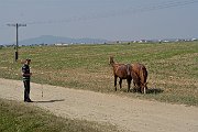 slides/050731_153.html