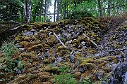 slides/080708_167_a.html