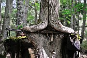 slides/080708_168_a.html