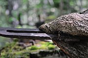 slides/080708_169_a.html