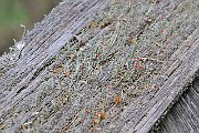 slides/090521_077_a.html