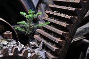 090521_084_a.JPG