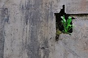 slides/090521_116_a.html