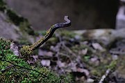 slides/090521_122_a.html
