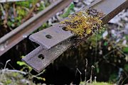 slides/090521_140_a.html