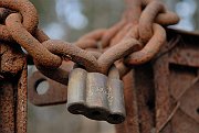 080208_017_a.jpg