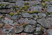 slides/080208_039_a.html