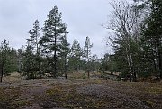 slides/080208_041_a.html