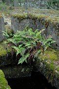 slides/080208_058_a.html