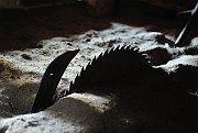 070428_245_a.jpg