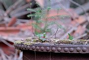 070428_158_a.jpg