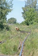 slides/060714_044_a.html