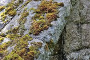 slides/090523_093_a.html