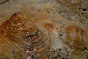 slides/080330_066_a.html