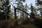 slides/080405_018_a.html
