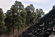 slides/090404_099_a.html