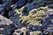 slides/090404_100_a.html
