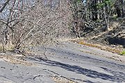slides/090404_111_a.html