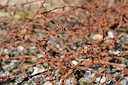 slides/090404_128_a.html