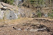 slides/090404_134_a.html