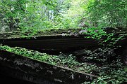 110703_042_a.JPG
