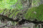slides/110703_047_a.html