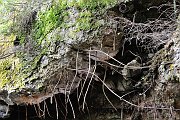 slides/110703_059_a.html