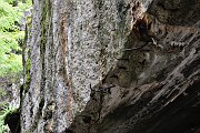 slides/110703_061_a.html