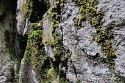 slides/110703_063_a.html