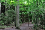 slides/110703_068_a.html