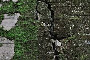slides/110703_069_a.html