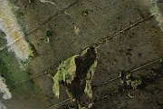 slides/110703_073_a.html