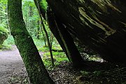 slides/110703_075_a.html