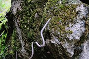 slides/110703_081_a.html