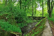 slides/110703_089_a.html