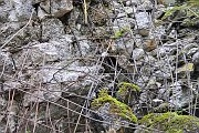 slides/110703_096_a.html