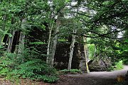 slides/110703_109_a.html