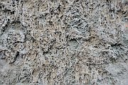 slides/110703_110_a.html