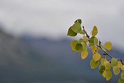 slides/150816_203_a.html